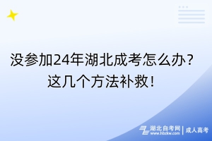 没参加24年湖北成考怎么办？这几个方法补救！