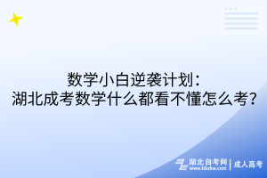 数学小白逆袭计划：湖北成考数学什么都看不懂怎么考？