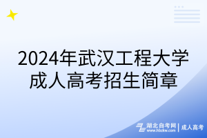 2024年武汉工程大学成人高考招生简章