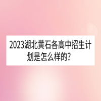 2023湖北黄石各高中招生计划是怎么样的？