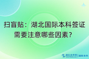 扫盲贴：湖北国际本科签证需要注意哪些因素？