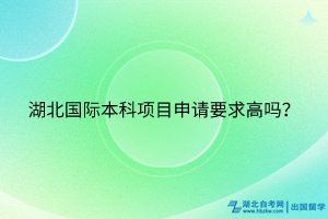 湖北国际本科项目申请要求高吗？