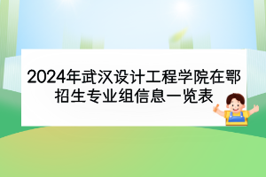 2024年武汉设计工程学院在鄂招生专业组信息一览表