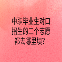 中职毕业生对口招生的三个志愿都去哪里填？