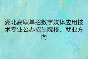 湖北高职单招数字媒体应用技术专业公办招生院校、就业方向