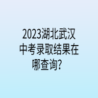 2023湖北武汉中考录取结果在哪查询？