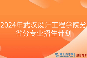 2024年武汉设计工程学院分省分专业招生计划