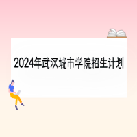 2024年武汉城市学院招生计划