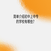 简单介绍初中上中专的学校？