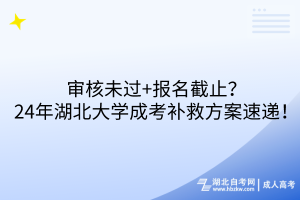 审核未过+报名截止？24年湖北大学成考补救方案速递！