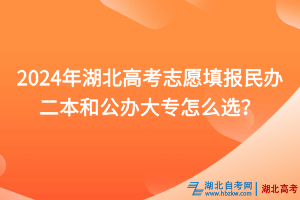 2024年湖北高考志愿填报民办二本和公办大专怎么选？