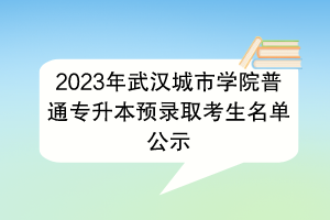 2023年武汉城市学院普通专升本预录取考生名单公示