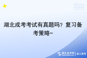 湖北成考考试有真题吗？复习备考策略~