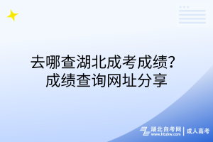 去哪查湖北成考成绩？成绩查询网址分享