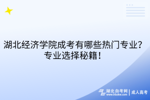 湖北经济学院成考有哪些热门专业？专业选择秘籍！