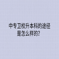 中专卫校升本科的途径是怎么样的？