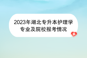 2023年湖北专升本护理学专业及院校报考情况