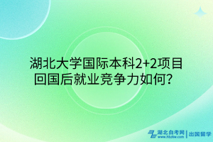 湖北大学国际本科2+2项目回国后就业竞争力如何？