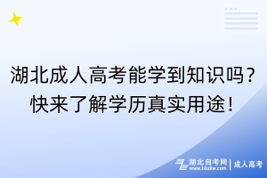 湖北成人高考能学到知识吗？快来了解学历真实用途！