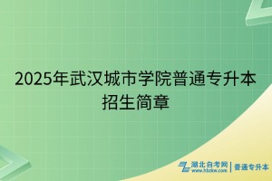 2025年武汉城市学院普通专升本招生简章