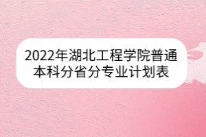 2022年湖北工程学院普通本科分省分专业计划表