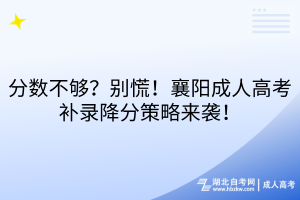 分数不够？别慌！襄阳成人高考补录降分策略来袭！