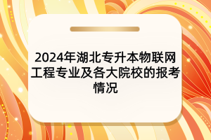 2024年湖北专升本物联网工程专业及各大院校的报考情况