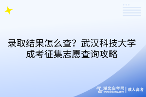 录取结果怎么查？武汉科技大学成考征集志愿查询攻略