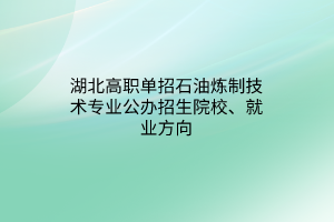 湖北高职单招石油炼制技术专业公办招生院校、就业方向