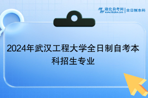 2024年武汉工程大学全日制自考本科招生专业