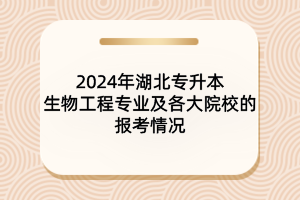 2024年湖北专升本生物工程专业及各大院校报考情况