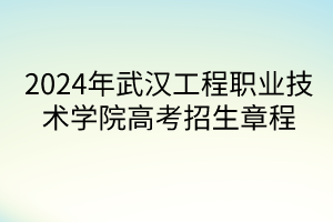 2024年武汉工程职业技术学院高考招生章程