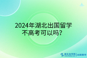 2024年湖北出国留学不高考可以吗？