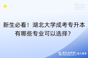 新生必看！湖北大学成考专升本有哪些专业可以选择？