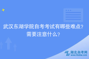 武汉东湖学院自考考试有哪些难点？需要注意什么？