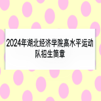 2024年湖北经济学院高水平运动队招生简章