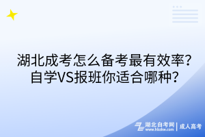 湖北成考怎么备考最有效率？自学VS报班你适合哪种？