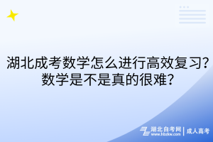 湖北成考数学怎么进行高效复习？数学是不是真的很难？