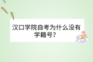 汉口学院自考为什么没有学籍号？