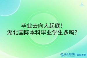 毕业去向大起底！湖北国际本科毕业学生多吗？