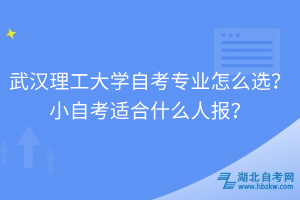 武汉理工大学自考专业怎么选？小自考适合什么人报？