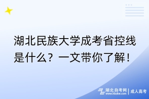 湖北民族大学成考省控线是什么？一文带你了解！