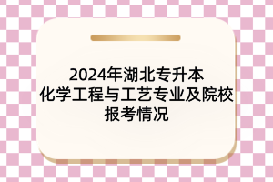 2024年湖北专升本化学工程与工艺专业及院校报考情况