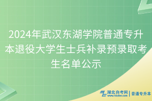 2024年武汉东湖学院普通专升本退役大学生士兵补录预录取考生名单公示