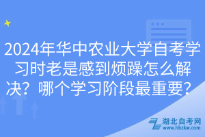 2024年华中农业大学自考学习时老是感到烦躁怎么解决？哪个学习阶段最重要？