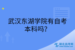 武汉东湖学院有自考本科吗？