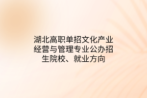 湖北高职单招文化产业经营与管理专业公办招生院校、就业方向