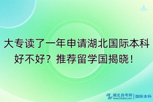 大专读了一年申请湖北国际本科好不好？推荐留学国揭晓！