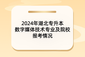 2024年湖北专升本数字媒体技术专业及院校报考情况