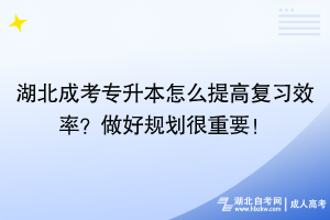 湖北成考专升本怎么提高复习效率？做好规划很重要！